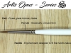 Artis_SerieS_Brush_02