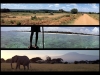 triptique-kenya-2-710x502