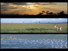 triptique-kenya-710x502