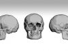 MKontraros_SkullSet90_04