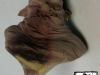 dscn8729b